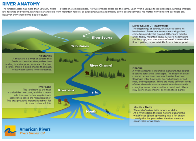 A Rivers Role in Providing Habitat for Life