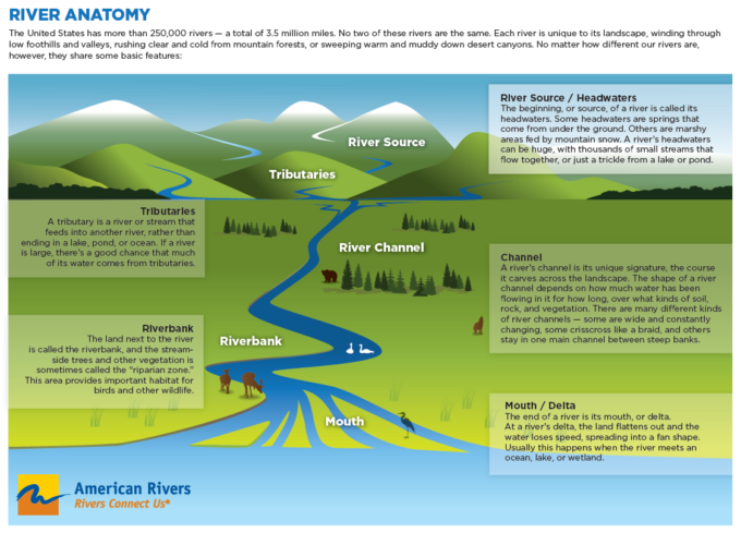 River ecosystem - Wikipedia